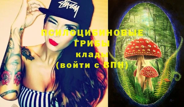 apvp Алзамай