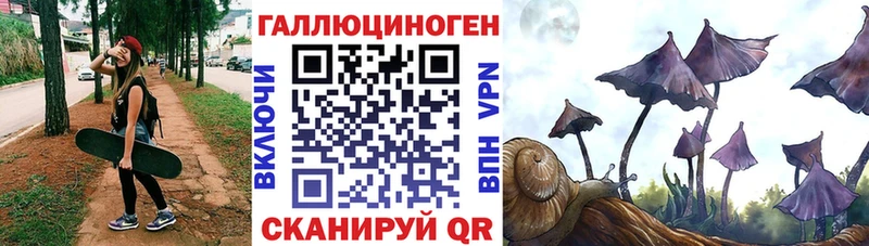 ссылка на мегу зеркало  где продают наркотики  Баймак  Галлюциногенные грибы Psilocybine cubensis 